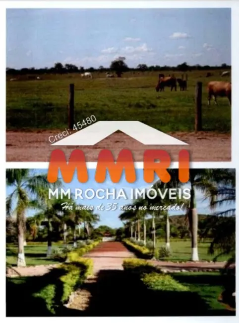 Foto 9 de Fazenda / Haras à venda, 42000m2 em Cocalinho - MT
