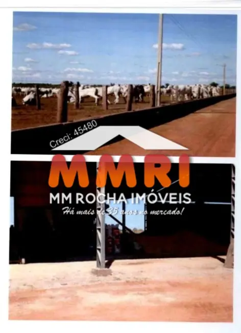 Foto 8 de Fazenda / Haras à venda, 42000m2 em Cocalinho - MT