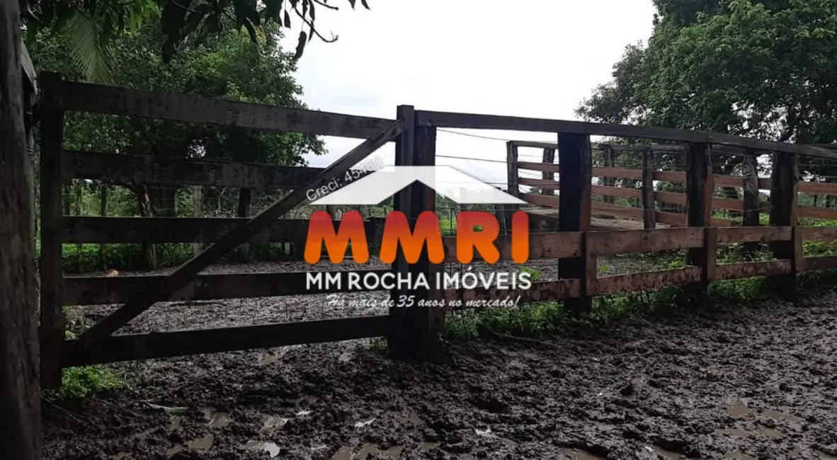 Foto 9 de Fazenda / Haras à venda, 4031m2 em Ribeirao Cascalheira - MT