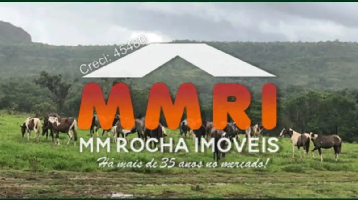 Fazenda / Haras à venda, 21000m2 em Primavera Do Leste - MT - imagem 9 Foto 9 de Fazenda / Haras à venda, 21000m2 em Primavera Do Leste - MT