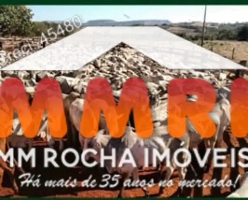 Fazenda / Haras à venda, 21000m2 em Primavera Do Leste - MT - imagem 7 Foto 7 de Fazenda / Haras à venda, 21000m2 em Primavera Do Leste - MT