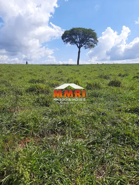 Foto 8 de Fazenda / Haras à venda, 206m2 em Área Rural de Avaré, Avare - SP