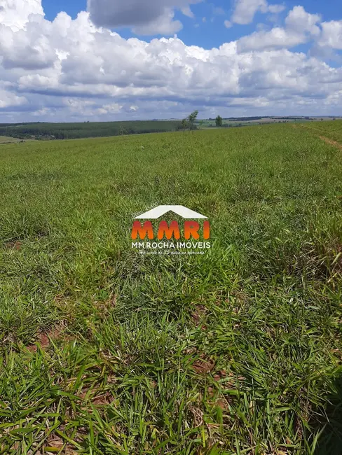 Foto 1 de Fazenda / Haras à venda, 206m2 em Área Rural de Avaré, Avare - SP