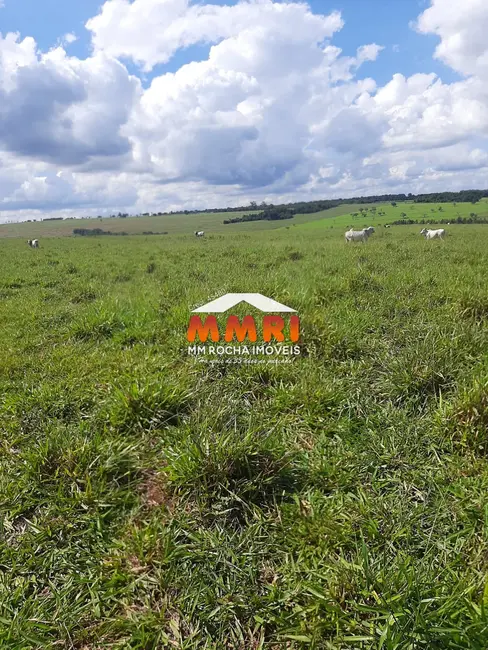 Foto 5 de Fazenda / Haras à venda, 206m2 em Área Rural de Avaré, Avare - SP