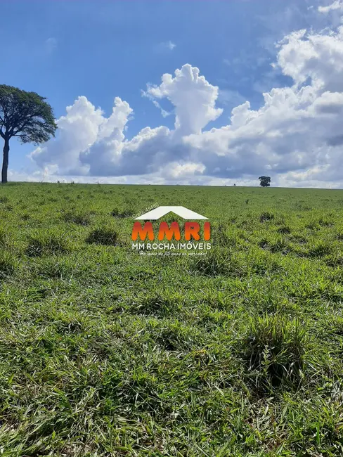 Foto 4 de Fazenda / Haras à venda, 206m2 em Área Rural de Avaré, Avare - SP