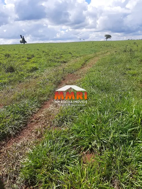 Foto 9 de Fazenda / Haras à venda, 206m2 em Área Rural de Avaré, Avare - SP