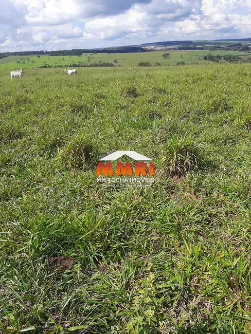 Foto 3 de Fazenda / Haras à venda, 206m2 em Área Rural de Avaré, Avare - SP