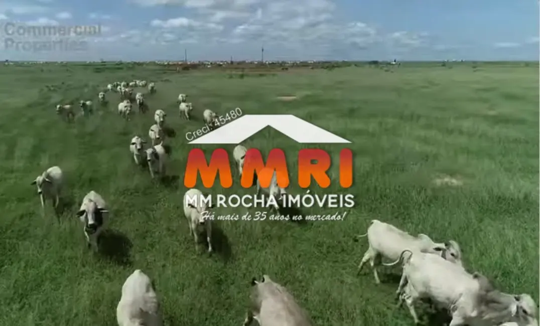 Fazenda / Haras à venda, 10000m2 em Área Rural de Barreiras, Barreiras - BA - imagem 4 Foto 4 de Fazenda / Haras à venda, 10000m2 em Área Rural de Barreiras, Barreiras - BA