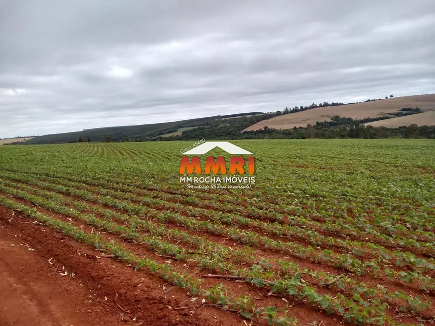 Foto 2 de Fazenda / Haras à venda, 212m2 em Área Rural de Itapeva, Itapeva - SP