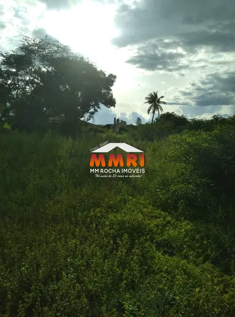 Foto 2 de Fazenda / Haras à venda, 20000m2 em Área Rural de Picos, Picos - PI