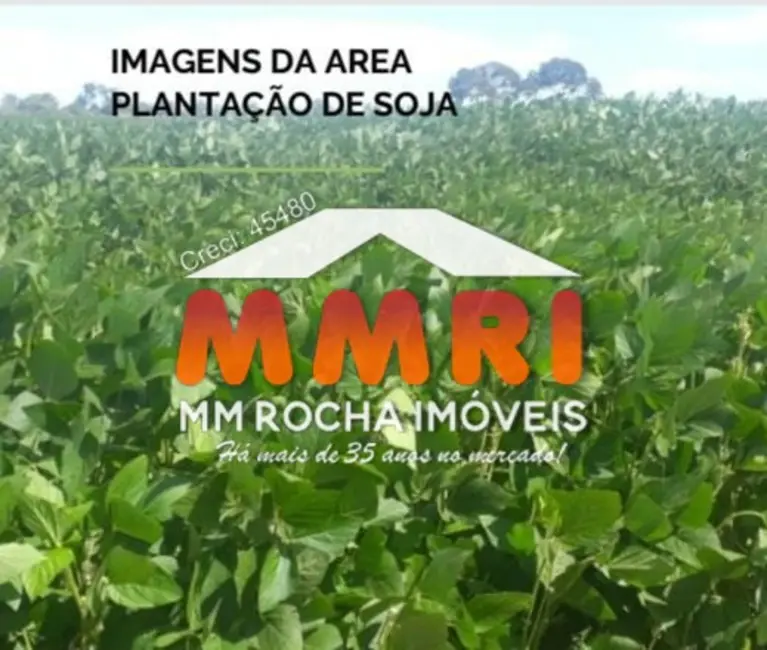 Foto 7 de Fazenda / Haras à venda, 306000m2 em Sobradinho - BA