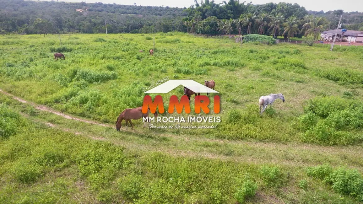 Fazenda / Haras à venda, 1121m2 em Primavera Do Leste - MT - imagem 7 Foto 7 de Fazenda / Haras à venda, 1121m2 em Primavera Do Leste - MT