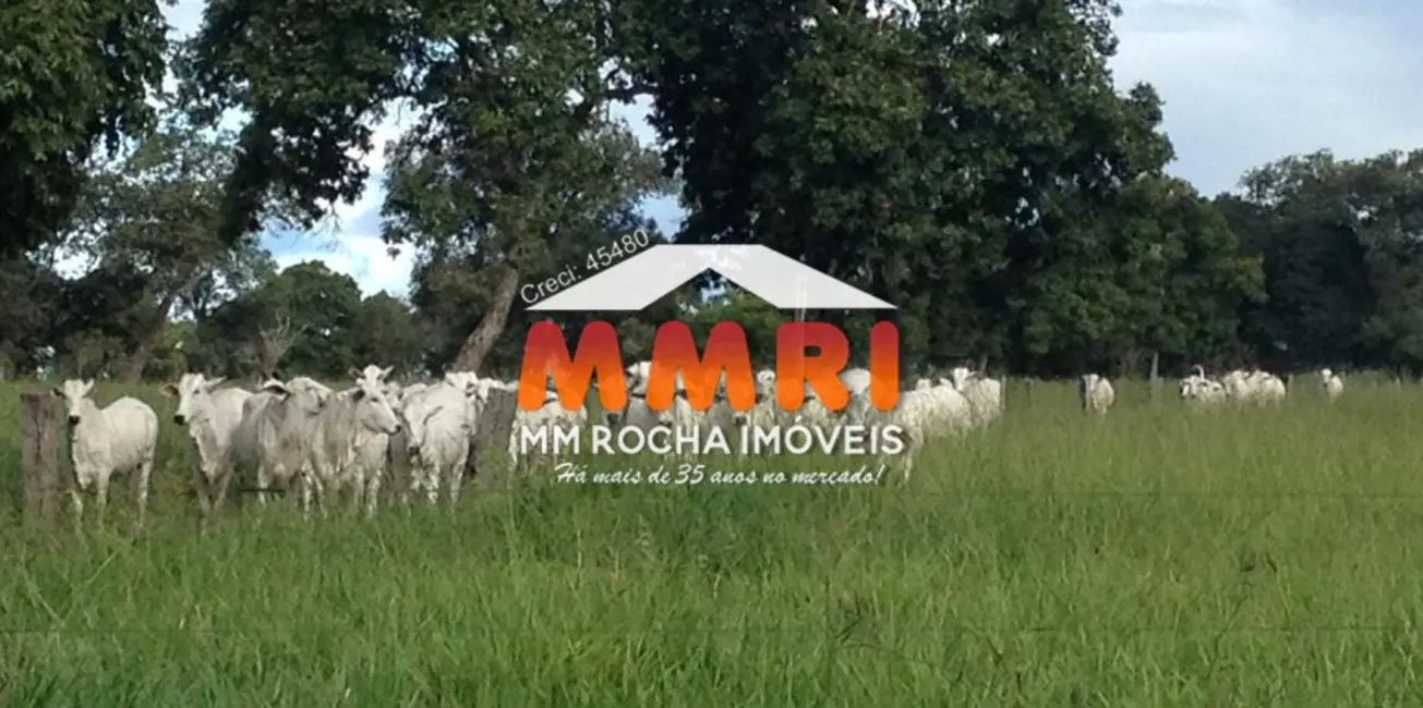 Foto 4 de Fazenda / Haras à venda, 1575m2 em Cocalinho - MT
