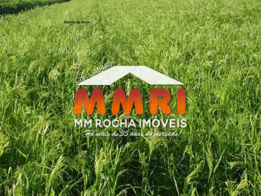 Foto 6 de Fazenda / Haras à venda, 33000m2 em Porto Alegre Do Norte - MT