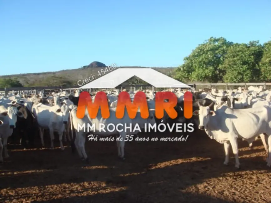 Foto 3 de Fazenda / Haras à venda, 17398m2 em Currais - PI