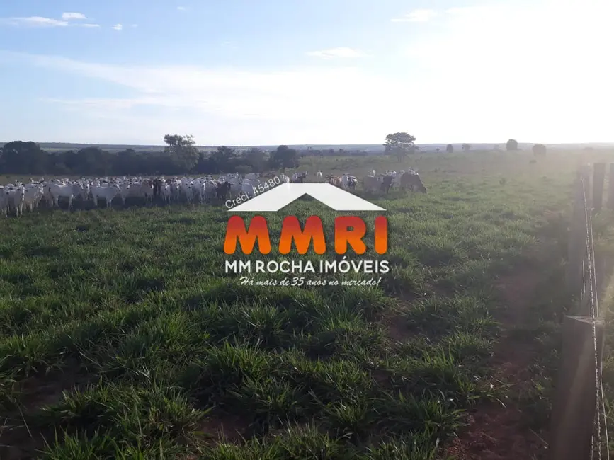 Foto 4 de Fazenda / Haras à venda, 350m2 em Novo Sao Joaquim - MT