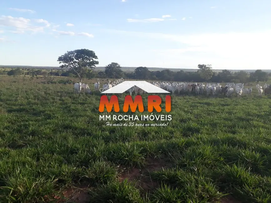 Foto 7 de Fazenda / Haras à venda, 350m2 em Novo Sao Joaquim - MT