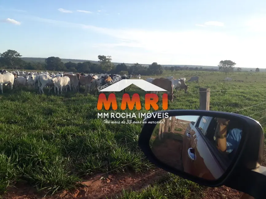 Foto 6 de Fazenda / Haras à venda, 350m2 em Novo Sao Joaquim - MT