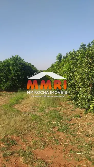Foto 1 de Fazenda / Haras à venda, 1452m2 em Área Rural de Marília, Marilia - SP