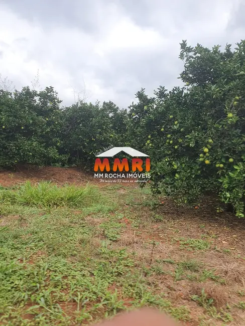 Foto 1 de Fazenda / Haras à venda, 366m2 em Área Rural de Lins, Lins - SP