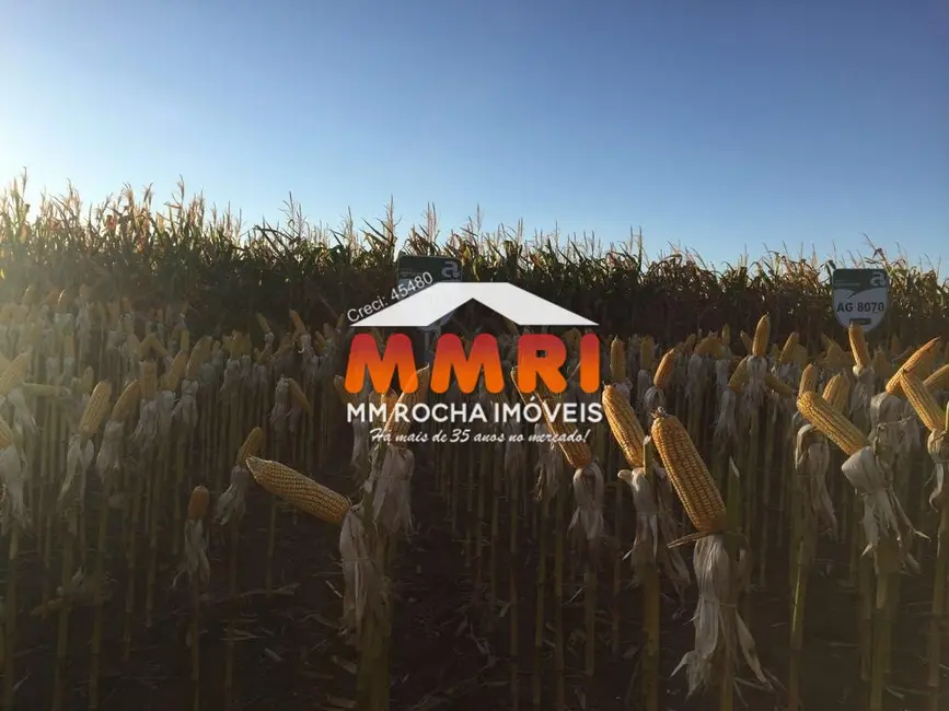 Foto 9 de Fazenda / Haras à venda, 44000m2 em Novo Planalto - GO