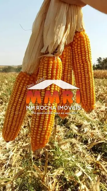 Foto 3 de Fazenda / Haras à venda, 44000m2 em Novo Planalto - GO