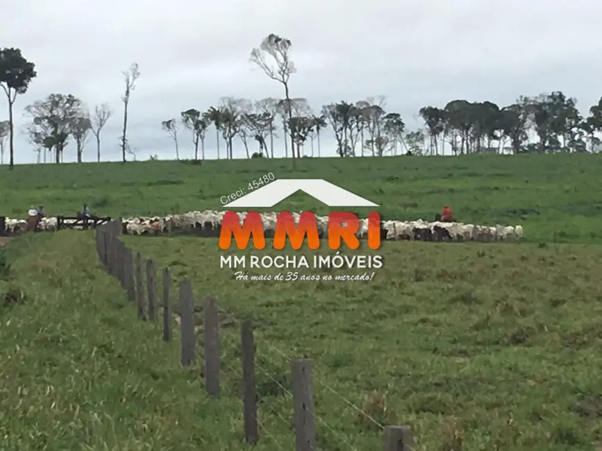 Foto 2 de Fazenda / Haras à venda, 12000m2 em Comodoro - MT