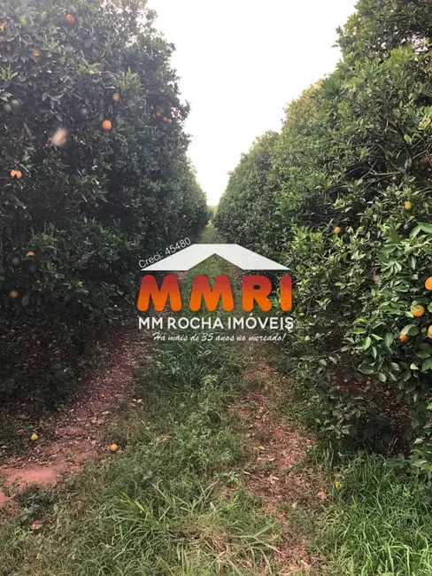 Foto 3 de Fazenda / Haras à venda, 953m2 em Jardim Caiubi, Itaquaquecetuba - SP