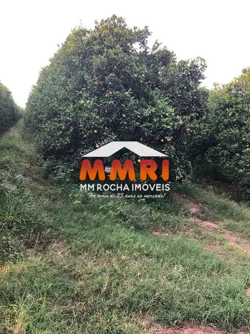 Foto 4 de Fazenda / Haras à venda, 953m2 em Jardim Caiubi, Itaquaquecetuba - SP