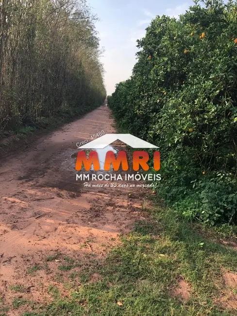 Foto 7 de Fazenda / Haras à venda, 953m2 em Jardim Caiubi, Itaquaquecetuba - SP