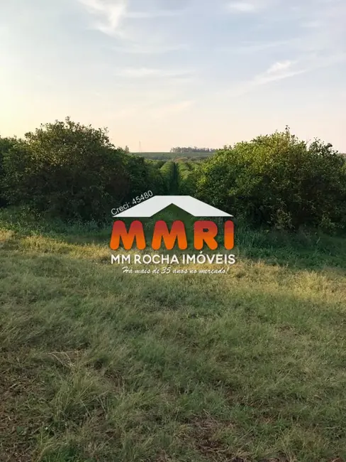 Foto 2 de Fazenda / Haras à venda, 953m2 em Jardim Caiubi, Itaquaquecetuba - SP