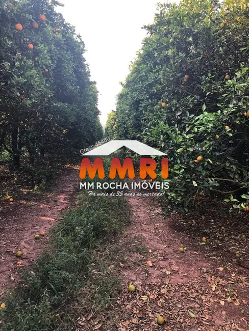 Foto 8 de Fazenda / Haras à venda, 953m2 em Jardim Caiubi, Itaquaquecetuba - SP