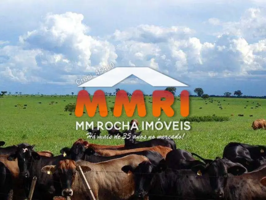 Foto 1 de Fazenda / Haras à venda, 67000m2 em Nova Ubirata - MT