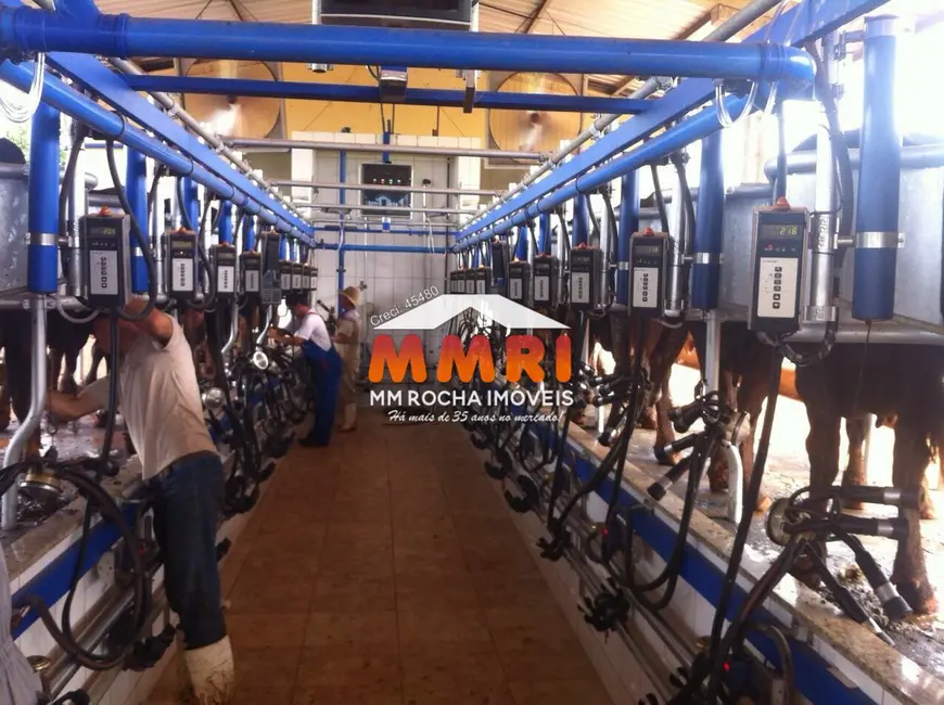 Foto 4 de Fazenda / Haras à venda, 882m2 em Bom Despacho - MG