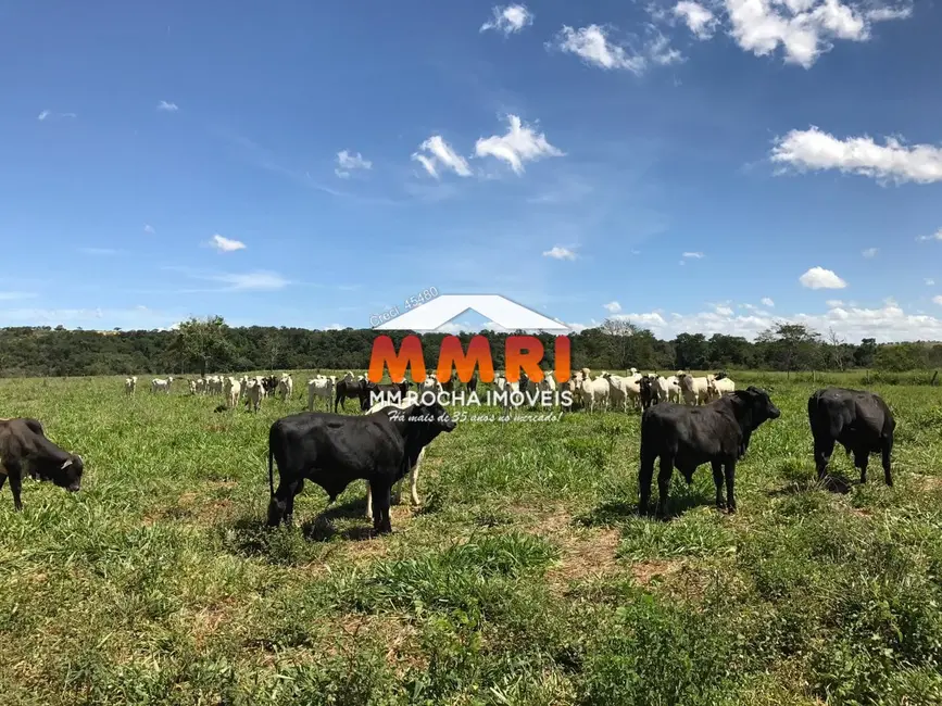 Foto 3 de Fazenda / Haras à venda, 882m2 em Bom Despacho - MG