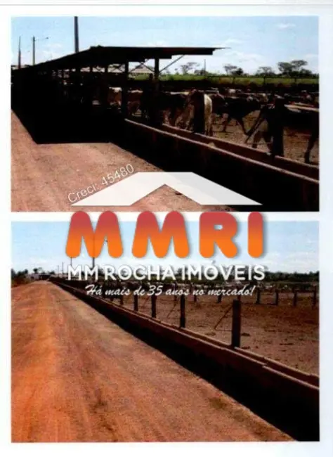 Foto 2 de Fazenda / Haras à venda, 38000m2 em Matupa - MT