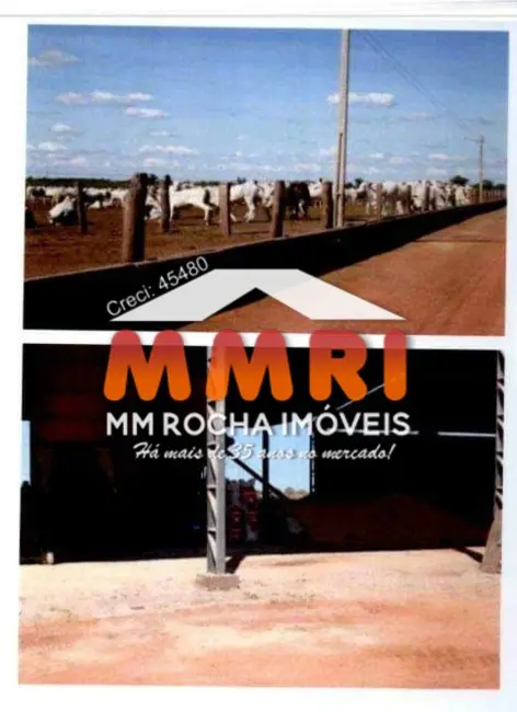 Foto 3 de Fazenda / Haras à venda, 38000m2 em Matupa - MT