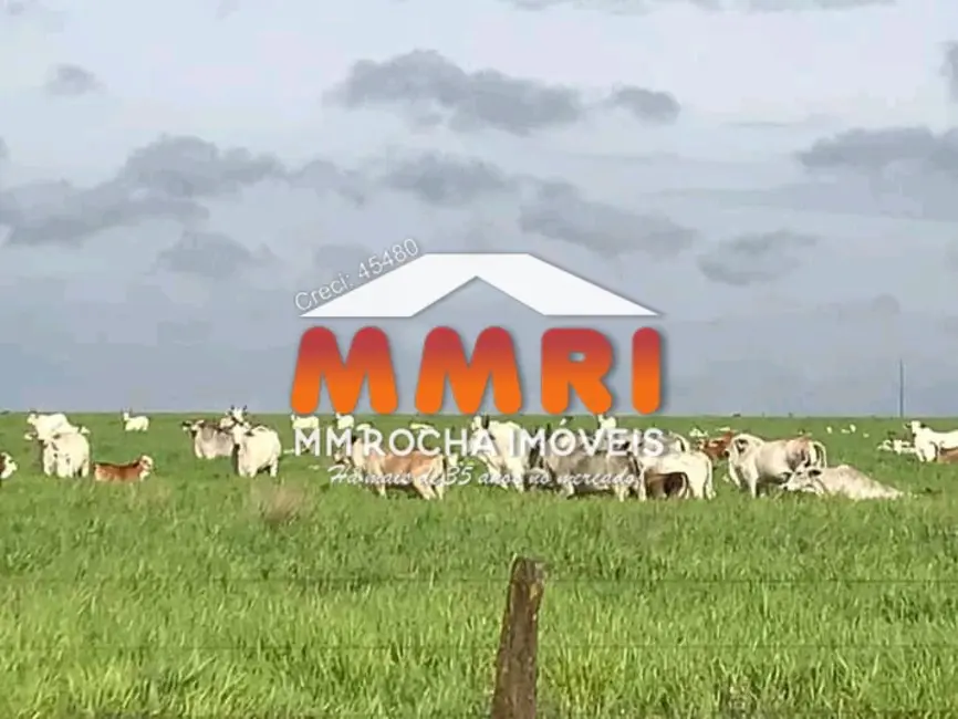 Foto 7 de Fazenda / Haras à venda, 121813m2 em Matupa - MT