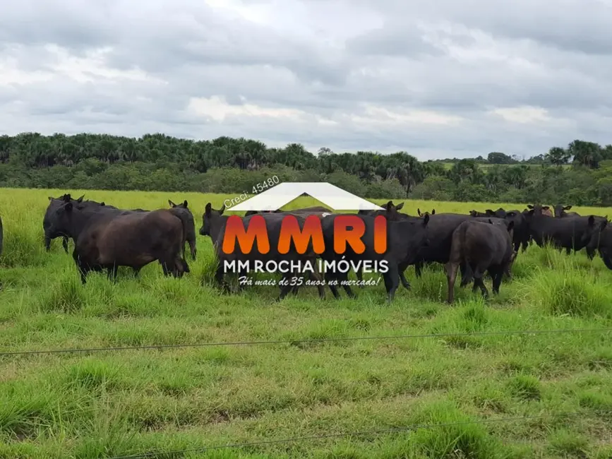 Foto 4 de Fazenda / Haras à venda, 17125m2 em Santa Fe Do Araguaia - TO