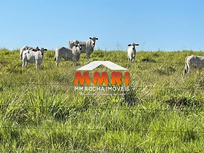 Foto 5 de Fazenda / Haras à venda, 17125m2 em Santa Fe Do Araguaia - TO