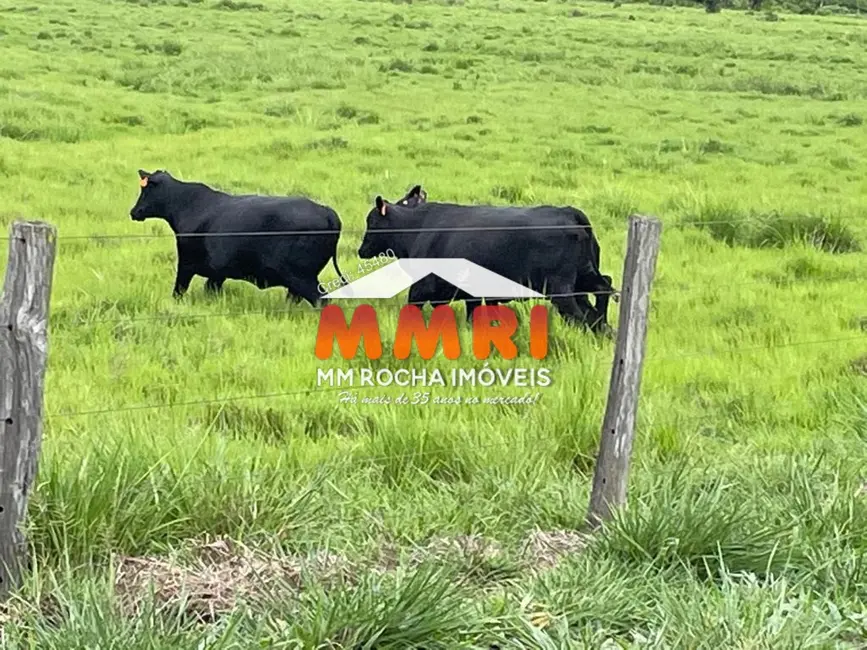 Foto 3 de Fazenda / Haras à venda, 17125m2 em Santa Fe Do Araguaia - TO