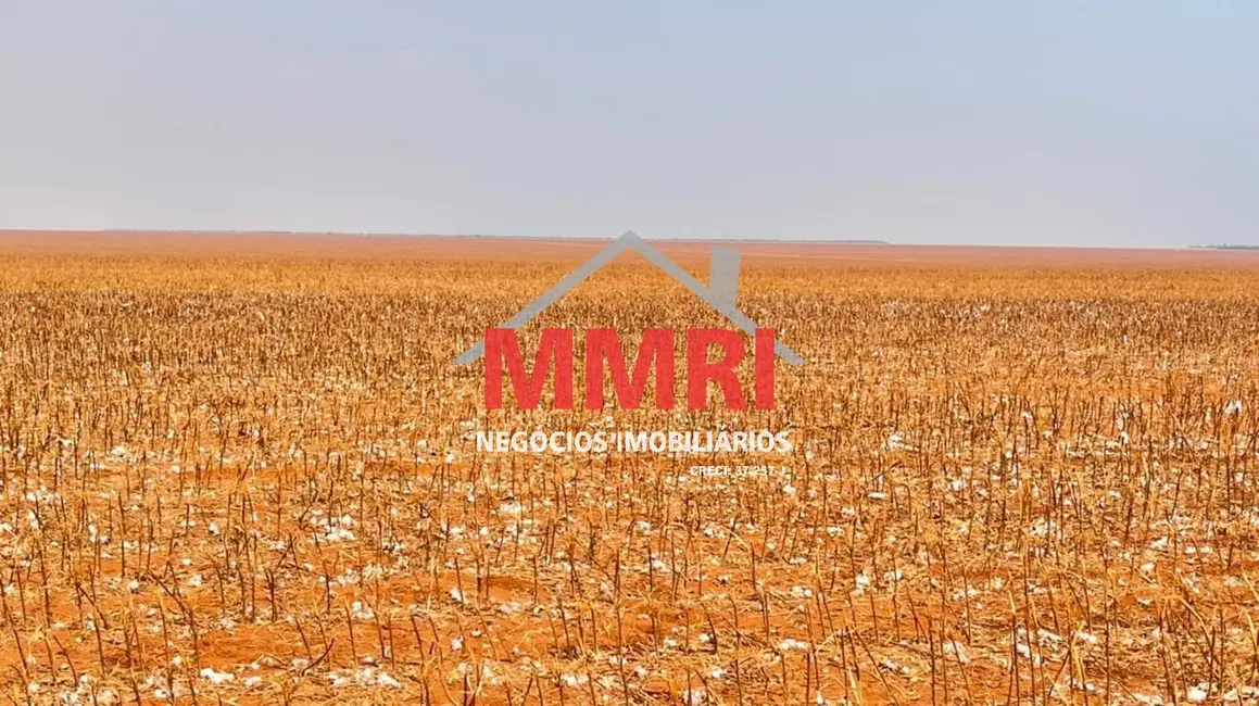 Foto 7 de Fazenda / Haras à venda, 24500m2 em Sao Jose Do Rio Claro - MT