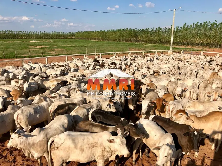 Foto 4 de Fazenda / Haras à venda, 71485m2 em Currais - PI