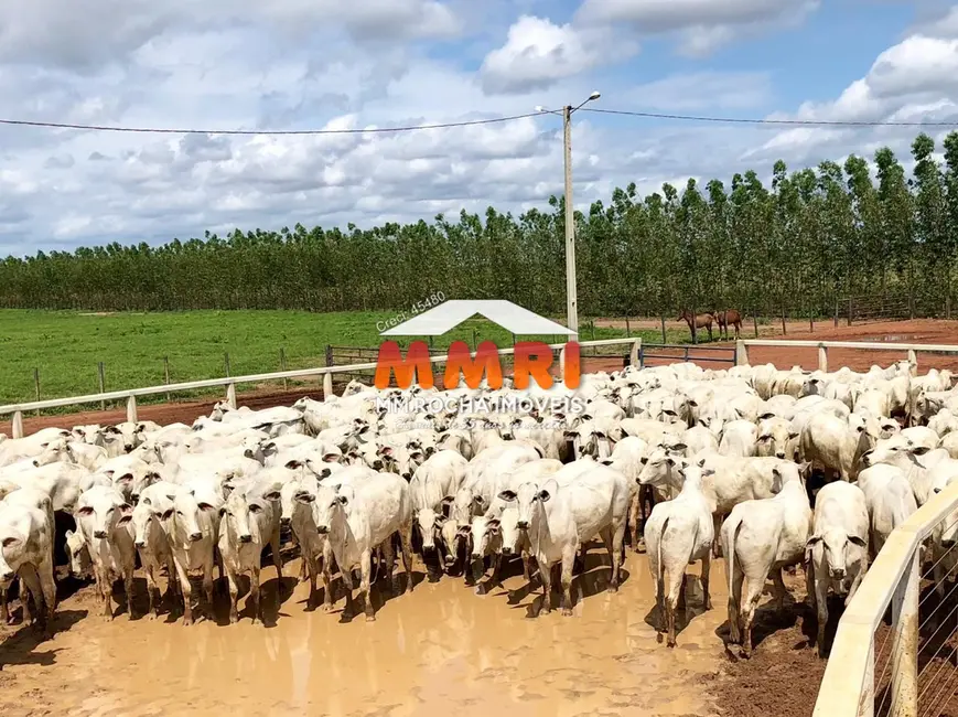 Foto 2 de Fazenda / Haras à venda, 71485m2 em Currais - PI