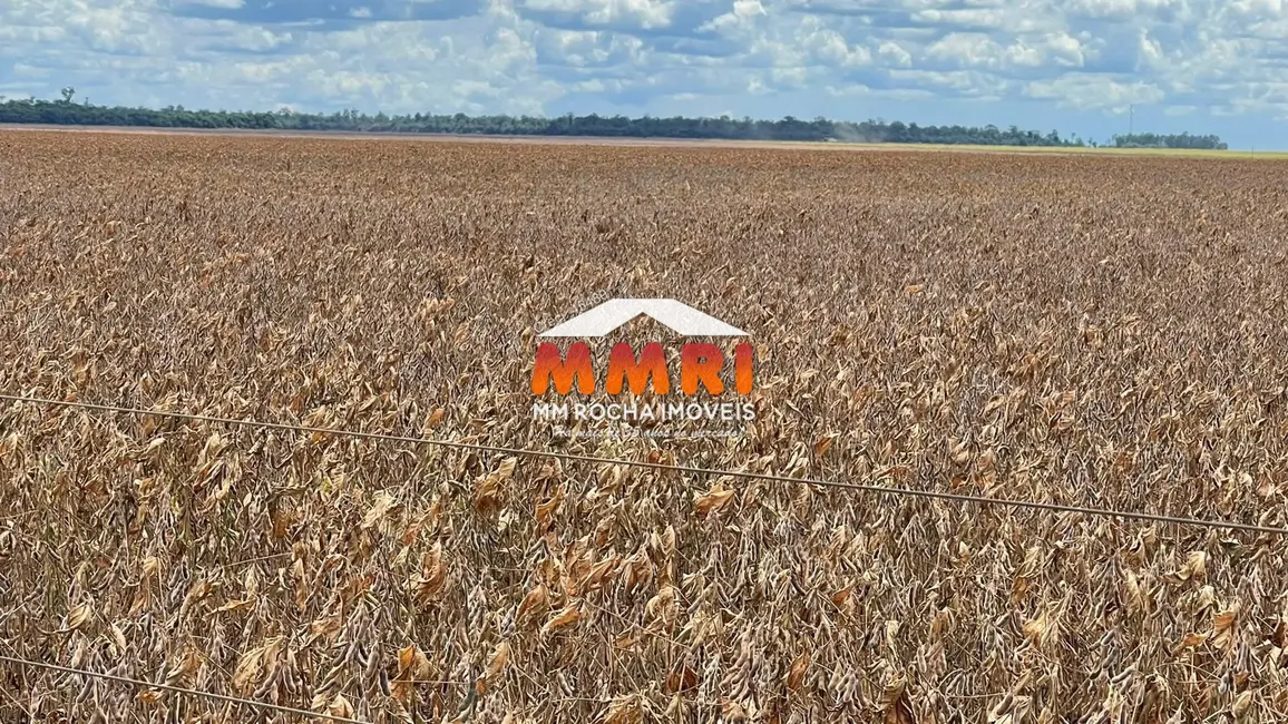 Foto 8 de Fazenda / Haras à venda, 65000m2 em Nova Ubirata - MT