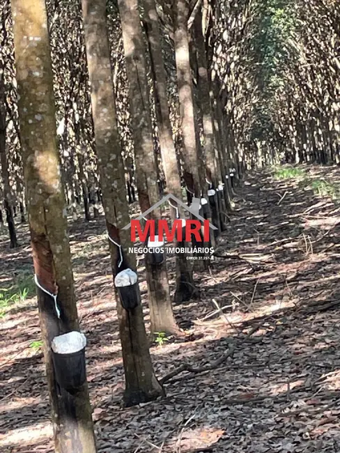 Foto 5 de Fazenda / Haras à venda, 17125m2 em Área Rural de Palmas, Palmas - TO