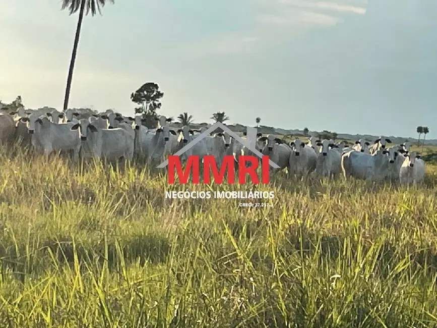 Foto 4 de Fazenda / Haras à venda, 17125m2 em Área Rural de Palmas, Palmas - TO