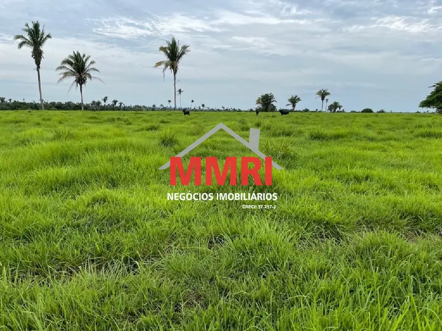 Foto 1 de Fazenda / Haras à venda, 17125m2 em Área Rural de Palmas, Palmas - TO