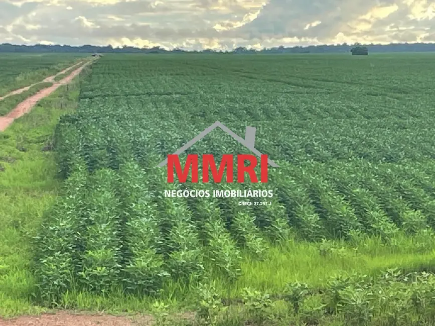 Foto 6 de Fazenda / Haras à venda, 17125m2 em Área Rural de Palmas, Palmas - TO