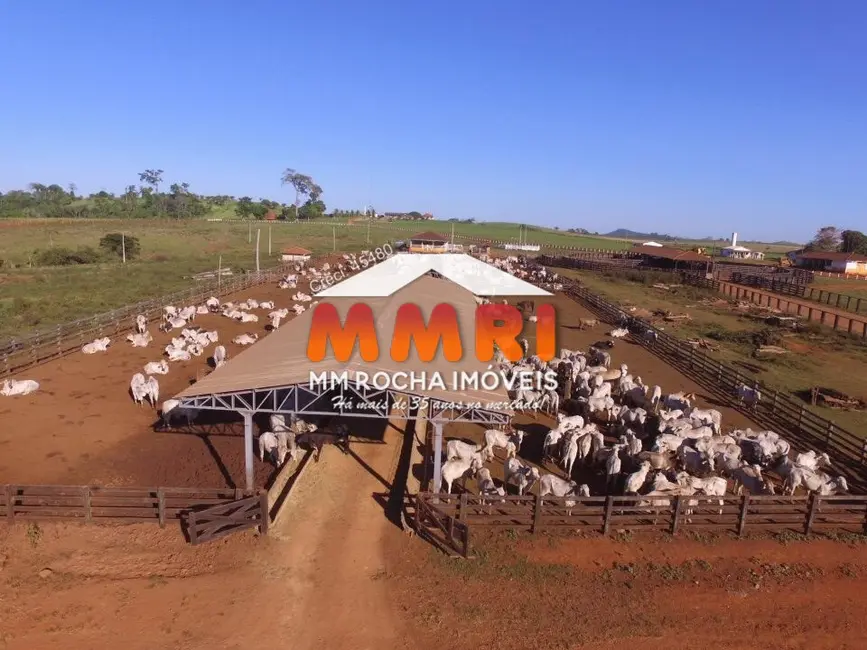 Fazenda / Haras à venda, 90000m2 em Paranatinga - MT - imagem 8 Foto 8 de Fazenda / Haras à venda, 90000m2 em Paranatinga - MT